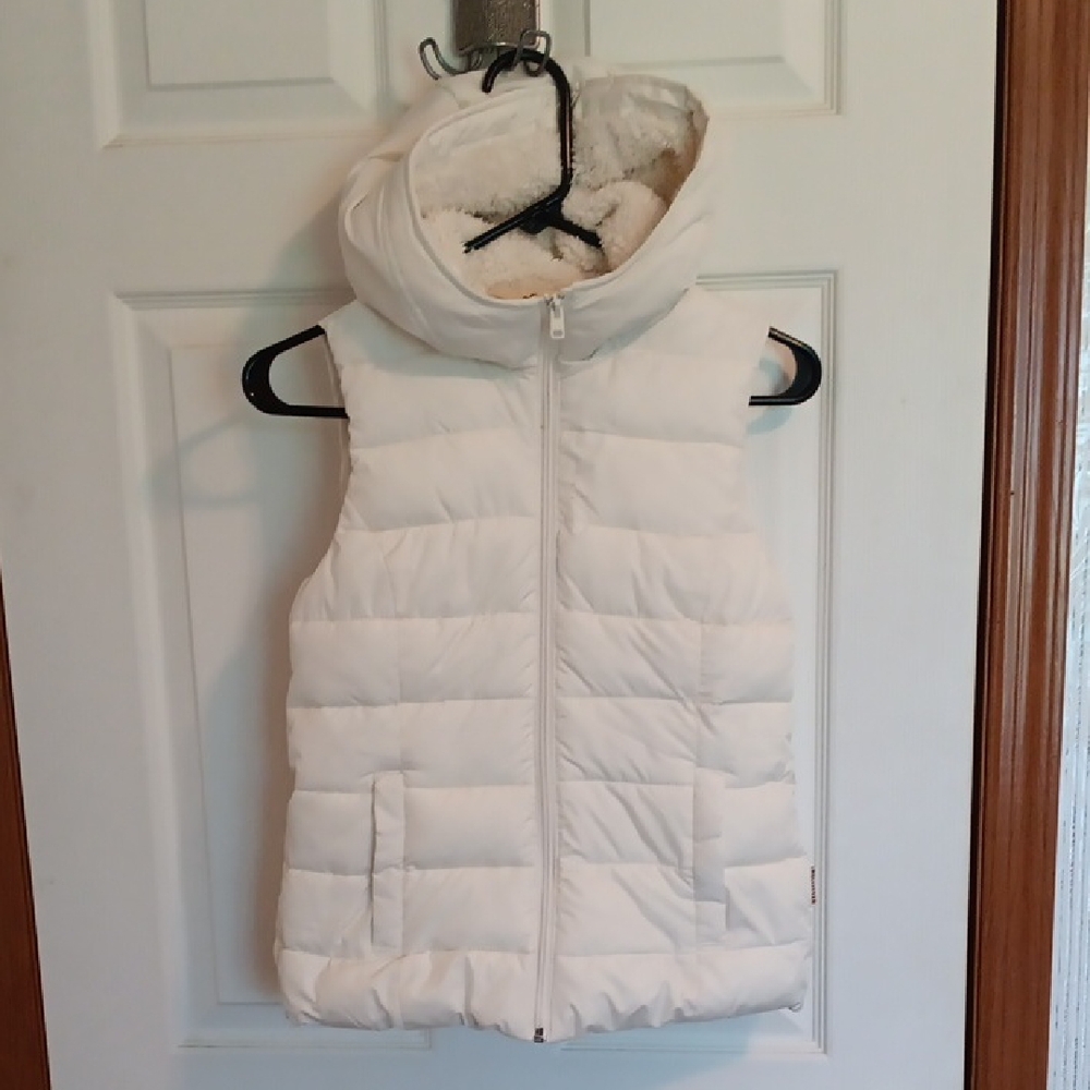 Hollister Winter Jacket